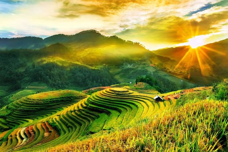 Sapa in the ripe rice season always makes visitors ecstatic every time they come here